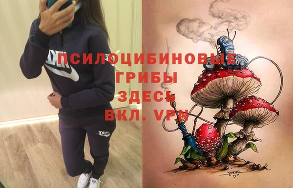 хмурый Михайловск