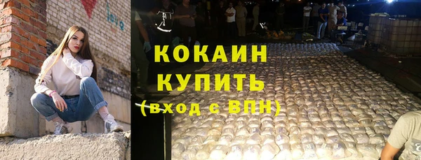 хмурый Михайловск