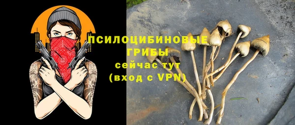 дмт Михайловка