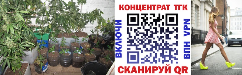 наркотики Чернушка Дистиллят ТГК концентрат