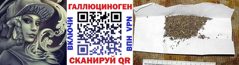 где можно купить наркотик  Чернушка  Галлюциногенные грибы мухоморы 